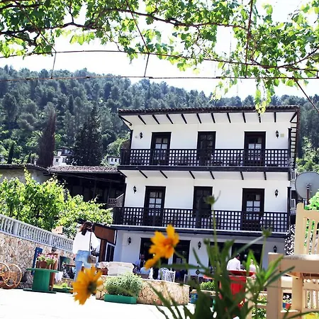 Maya * Berat